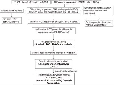 Comprehensive Analysis of the Functions and Prognostic Value of RNA-Binding Proteins in Thyroid Cancer